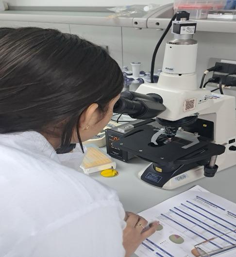 Investigadora con bata de laboratorio observando a través de los oculares de un microscopio óptico Nikon Eclipse E200 junto a planillas impresas con gráficos estadísticos